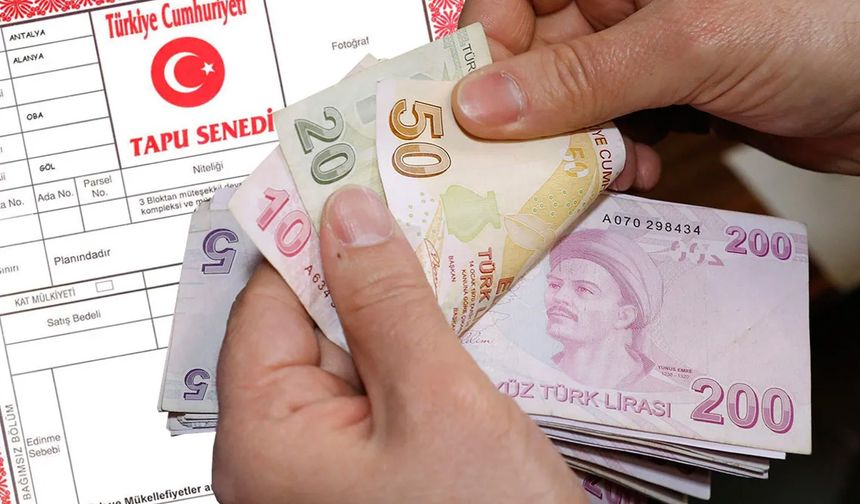 Tapusu olanlar hemen kontrol etsin! Bu renk varsa dikkat