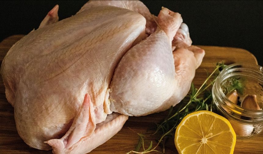 Tavuk eti üretimi ekimde yüzde 8,7 arttı: Yumurta üretimi ise geriledi