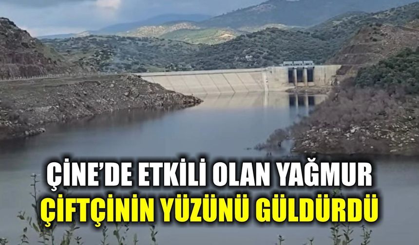 Çine’de etkili olan yağmur çiftçinin yüzünü güldürdü