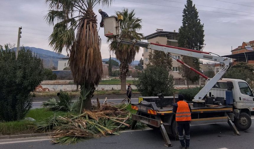Efeler Belediyesi sahada: Umurlu Karayolu’nda dikkat çeken çevre düzenlemesi