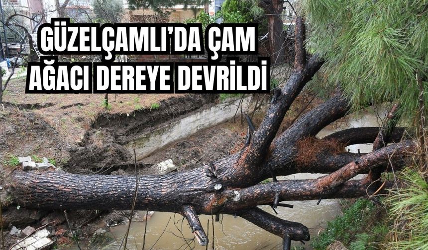 Kuşadası Belediye ekipleri riskli noktalarda teyakkuzda