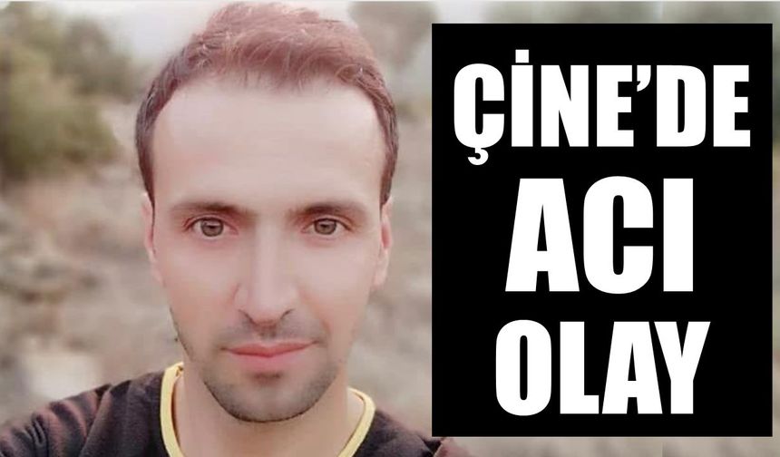 Çine'de acı olay: Zeytin silkerken kalp krizi geçirdi, hayatını kaybetti