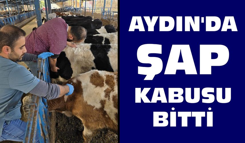 Aydın'da bir ilçe daha karantinadan kurtuldu