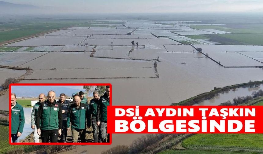 Büyük Menderes taşkını sonrası DSİ Aydın’da sahaya indi