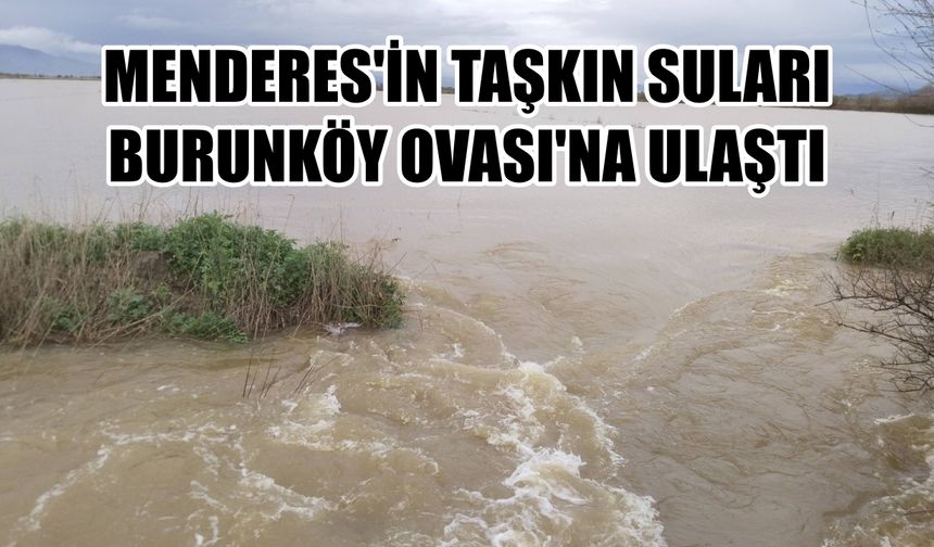 Aydın’da Büyük Menderes’in taşkın suları Burunköy Ovası’na ulaştı