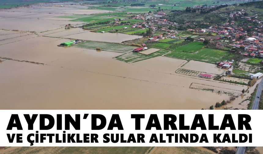 Aydın’da tarlalar ve çiftlikler sular altında kaldı