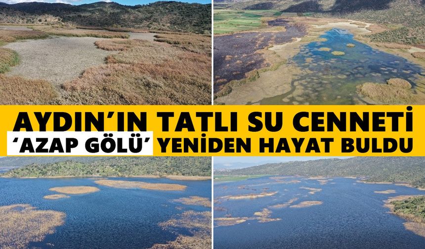 Aydın’ın tatlı su cenneti ‘Azap Gölü’ yeniden hayat buldu