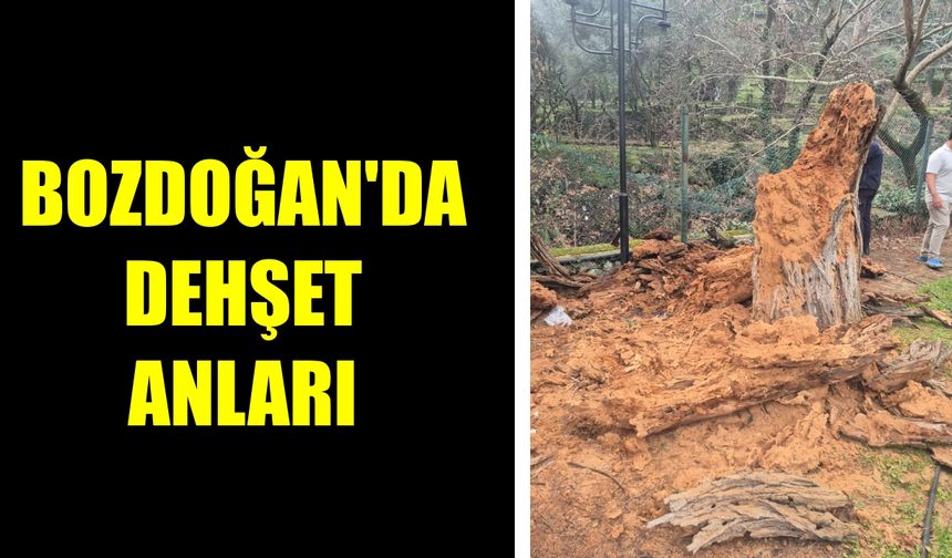 Bozdoğan'da dehşet anları