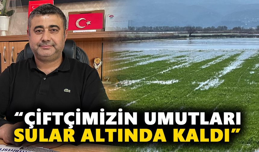 Büyük Menderes taştı: Aydın’da üreticilerin umutları sular altında kaldı