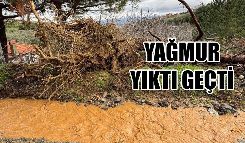 Karacasu'da yağmur yıktı geçti