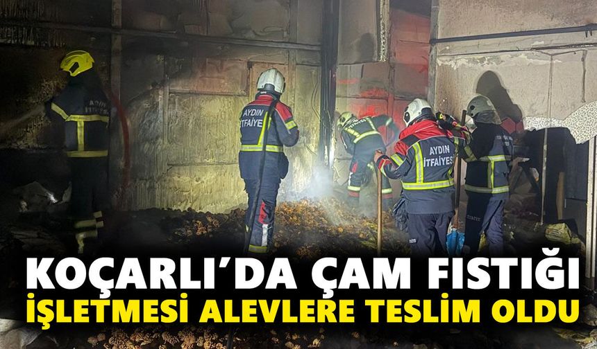 Koçarlı’da çam fıstığı işletmesi alevlere teslim oldu