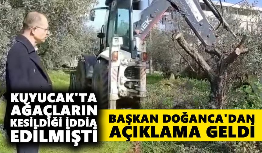 Kuyucak'ta ağaçların kesildiği iddia edilmişti: Başkan Doğanca'dan açıklama geldi