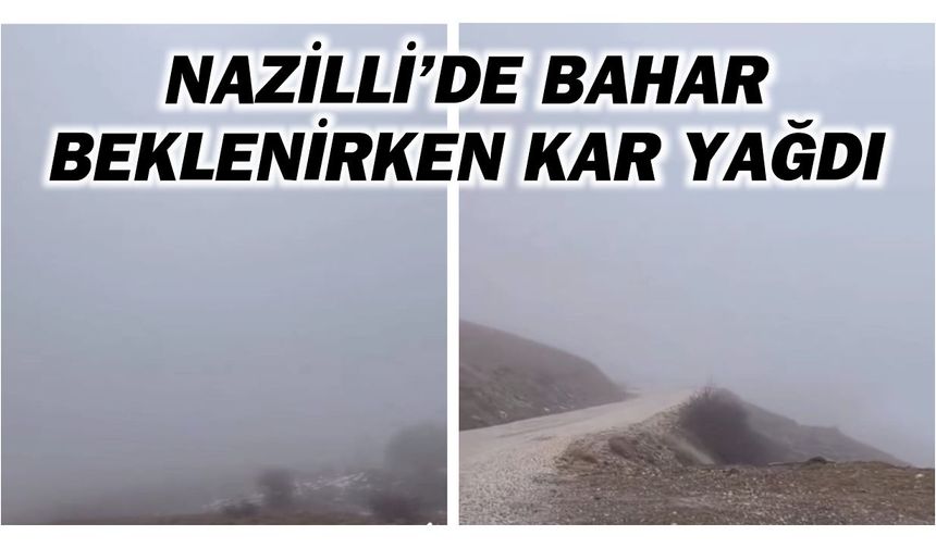 Nazilli Yaylapınar Mahallesi'nde kar sevinci