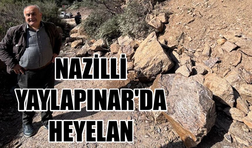 Nazilli Yaylapınar'da heyelan