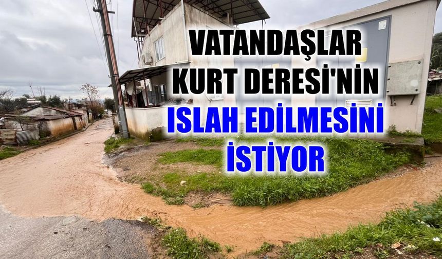 Nazilli'de dere mağduriyeti