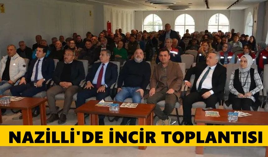 Nazilli'de incir toplantısı