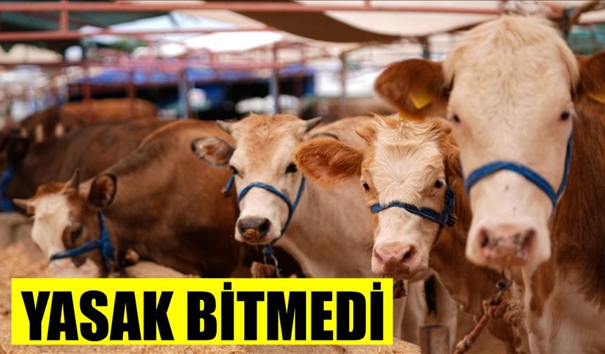 Nazilli'nin talihsiz mahalleleri