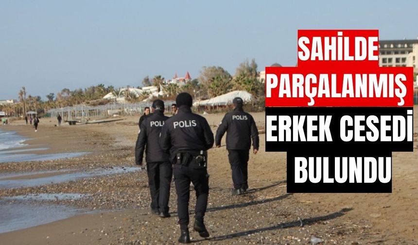 Sahilde parçalanmış erkek cesedi bulundu