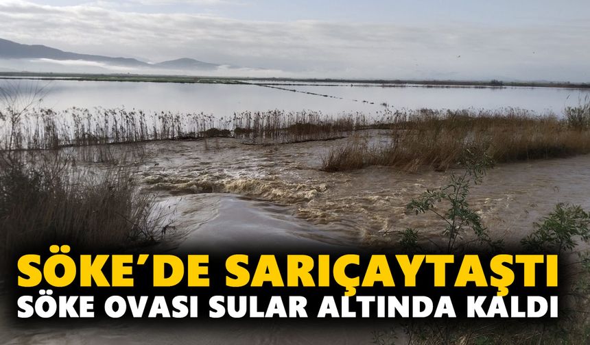 Söke’de Sarıçay taştı, Söke Ovası sular altında kaldı