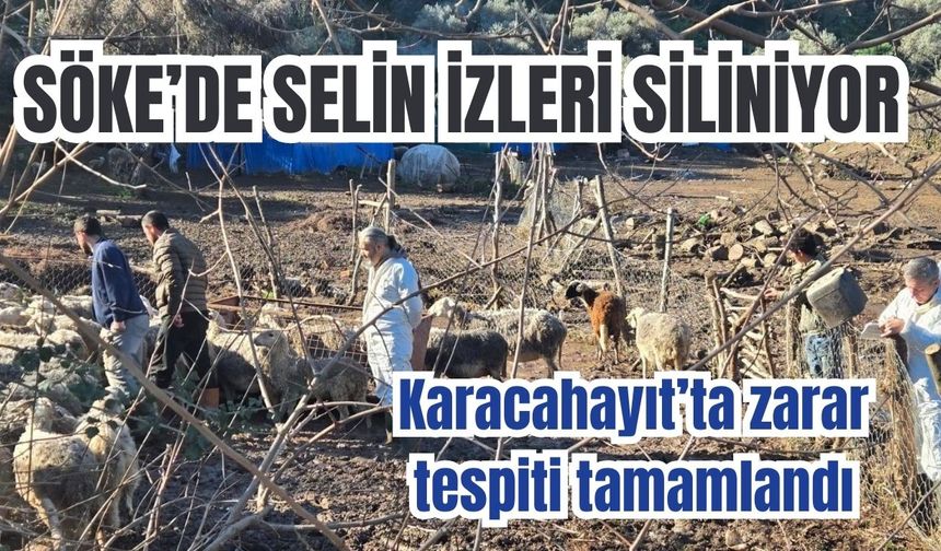Söke’de selin izleri siliniyor