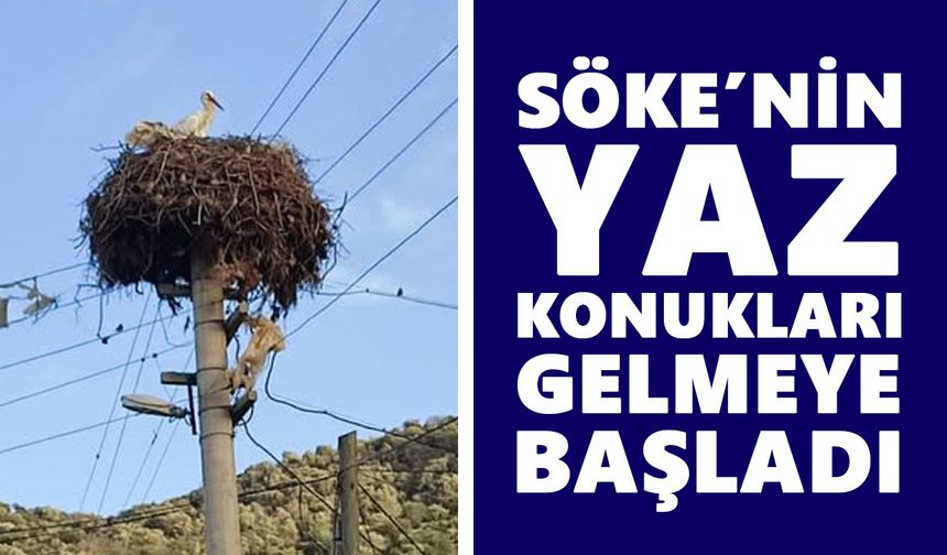 Söke’nin yaz konukları gelmeye başladı