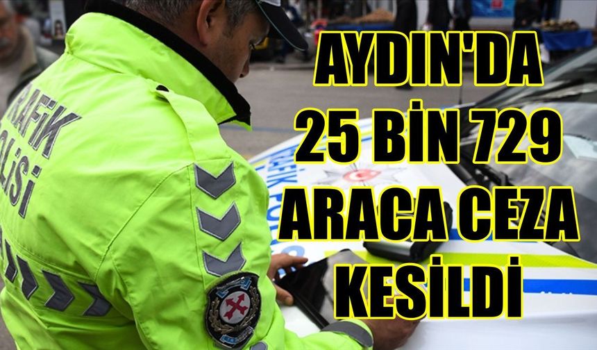Aydın’da 25 bin 729 araca ceza uygulandı