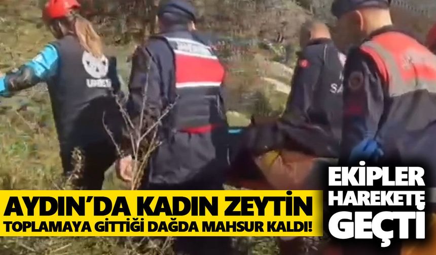 Aydın’da zeytin toplamaya gittiği dağda mahsur kaldı! Ekipler harekete geçti
