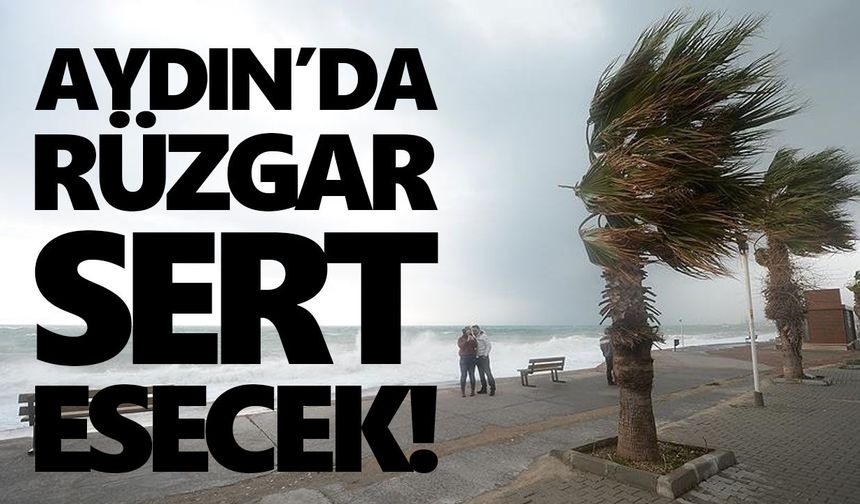 Valilik uyardı: Aydın’da rüzgar sert esecek!
