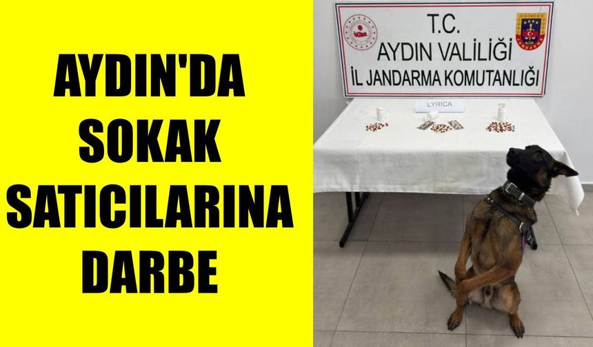 Aydın’da torbacı operasyonu: 10 tutuklama