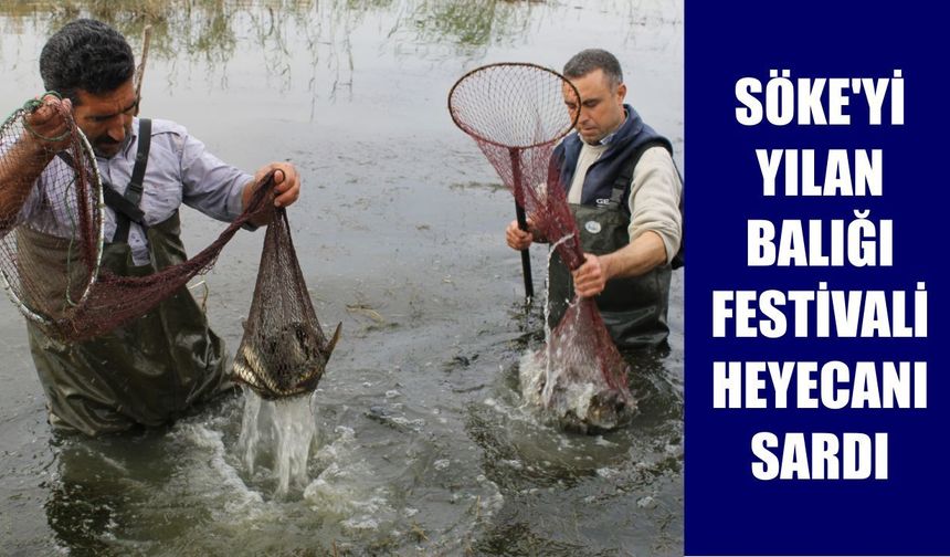 Aydın'da binlerce kişiye ücretsiz yılan balığı ikram edilecek