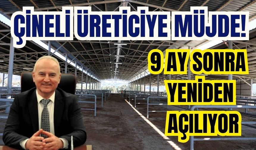 Çineli üreticiye müjde! 9 ay sonra yeniden açılıyor