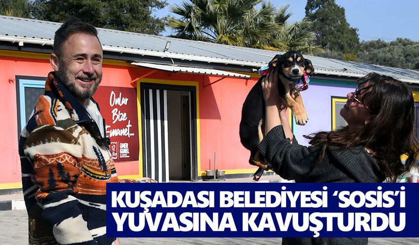 Kuşadası Belediyesi ‘Sosis’i yuvasına kavuşturdu