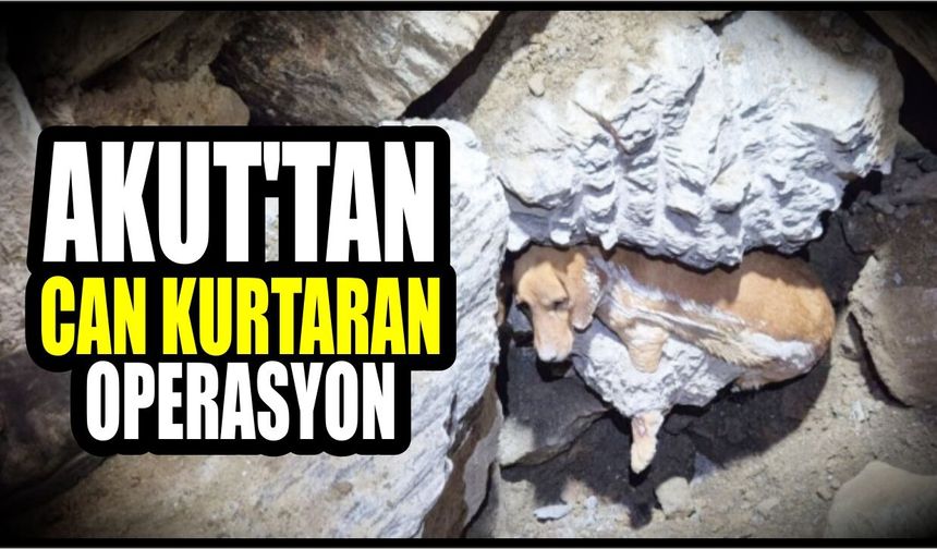 Kuşadası’nda mahsur kalan Paris’e AKUT el uzattı