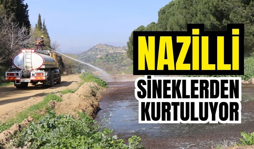 Nazilli Belediyesi ekipleri ilaçlama çalışmalarını sürdürüyor