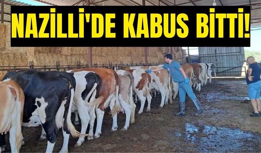 Nazilli’de hayvan alım satımı serbest bırakıldı