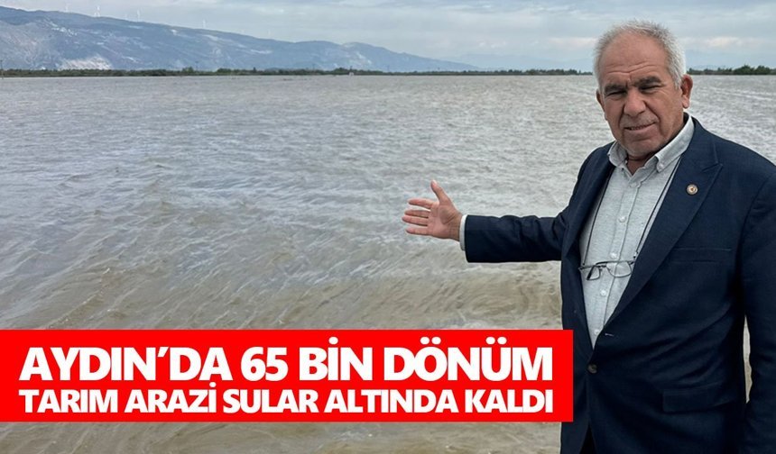Aydın’da 65 bin dönüm tarım arazi sular altında kaldı