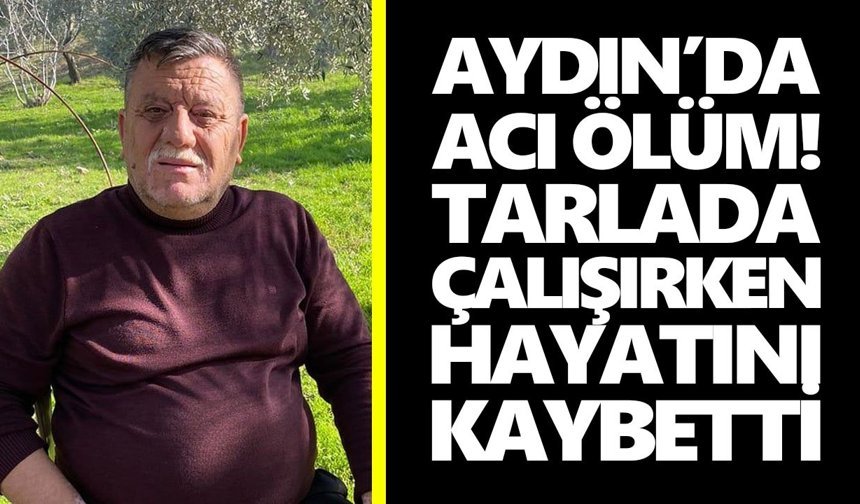 Aydın’da acı ölüm! Tarlada çalışırken hayatını kaybetti