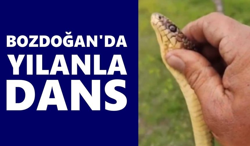 Bozdoğan'da yılanla dans