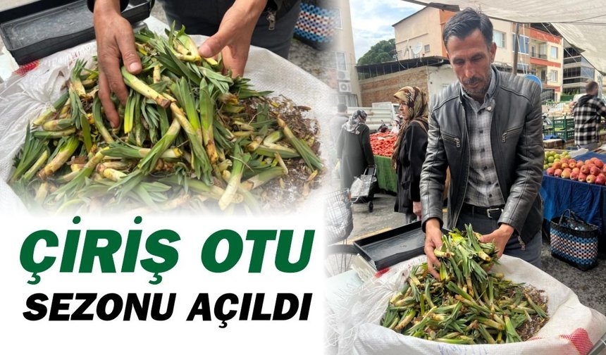 Doğu Anadolu'dan Nazilli pazarına