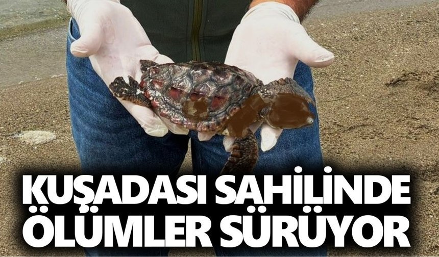 Kuşadası sahilinde ölümler sürüyor
