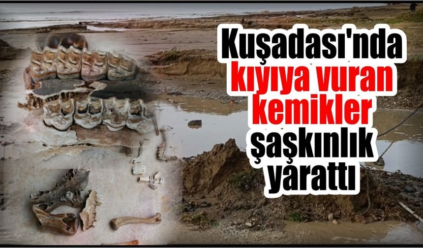 Kuşadası sahilinde şaşırtan keşif