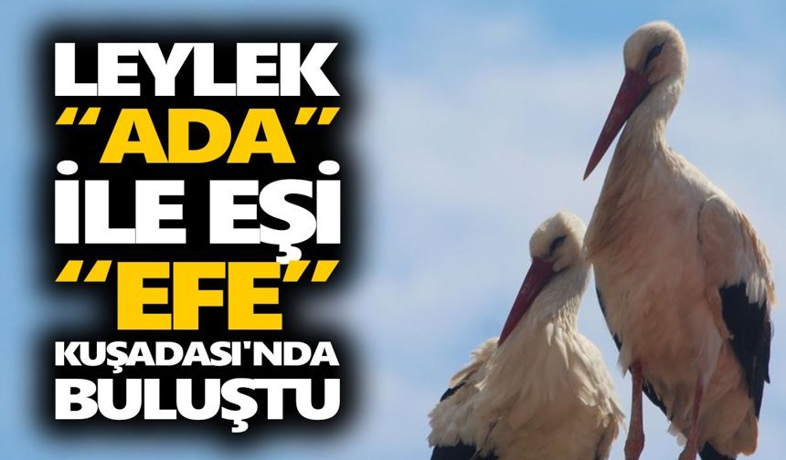 Leylek Ada ile eşi Efe Kuşadası’nda buluştu