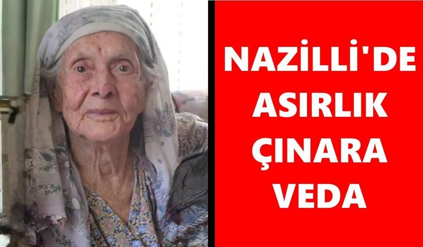 Nazilli'de asırlık çınara veda: "Terzi Ulviye" sonsuzluğa uğurlandı