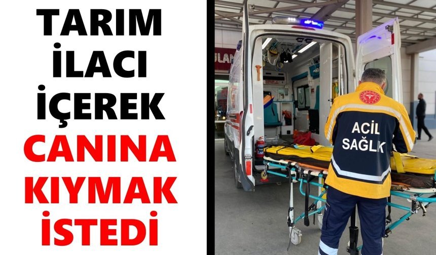 Nazilli'de feci olay: Tarım ilacı içerek canına kıymak istedi