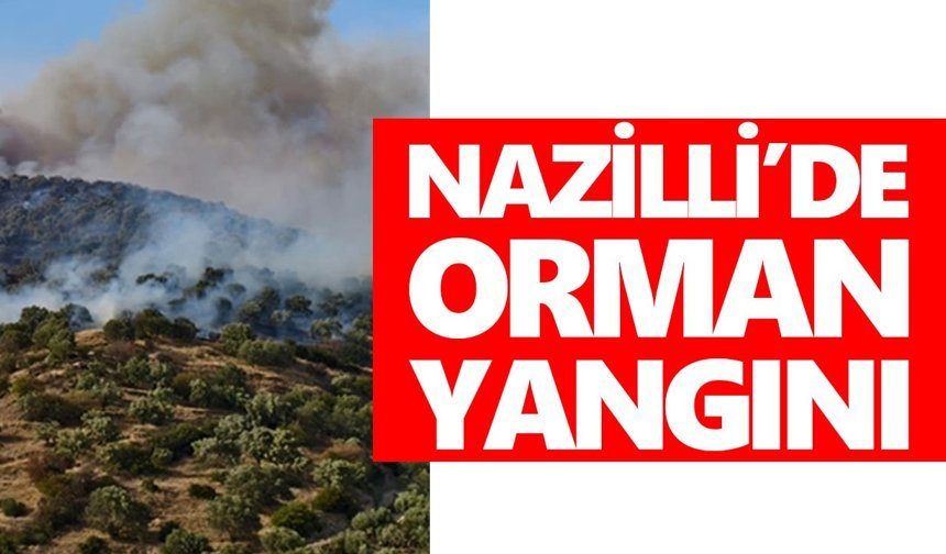 Nazilli'de orman yangını! 4 dönüm alan zarar gördü