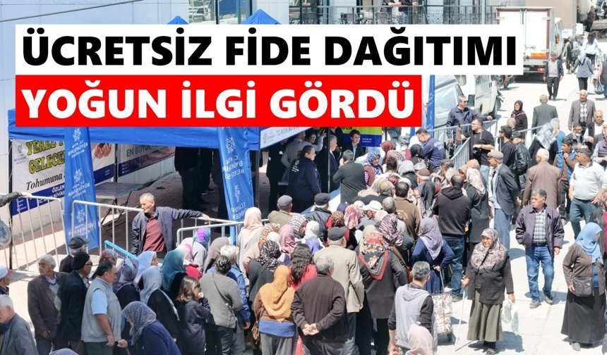 Sultanhisar ve Buharkent'te fide kuyruğu