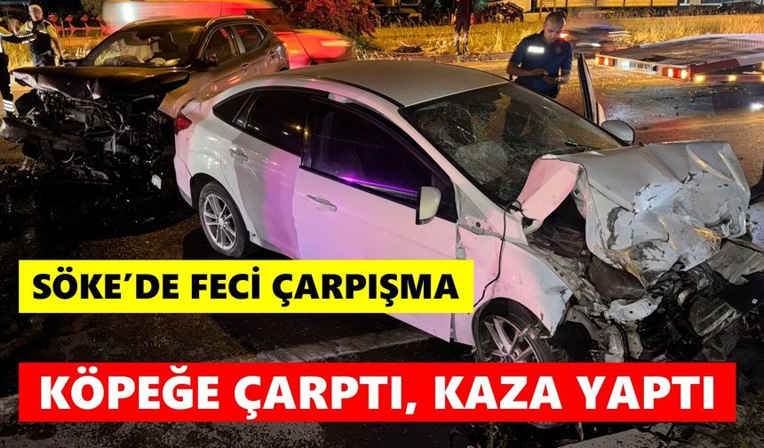 Söke’de feci çarpışma: Köpeğe çarptı, kaza yaptı