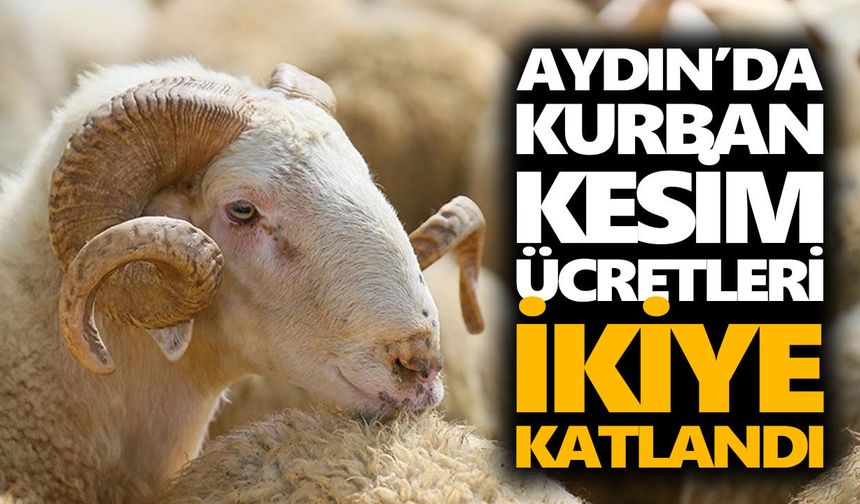 Aydın’da kurban kesim ücretleri ikiye katlandı