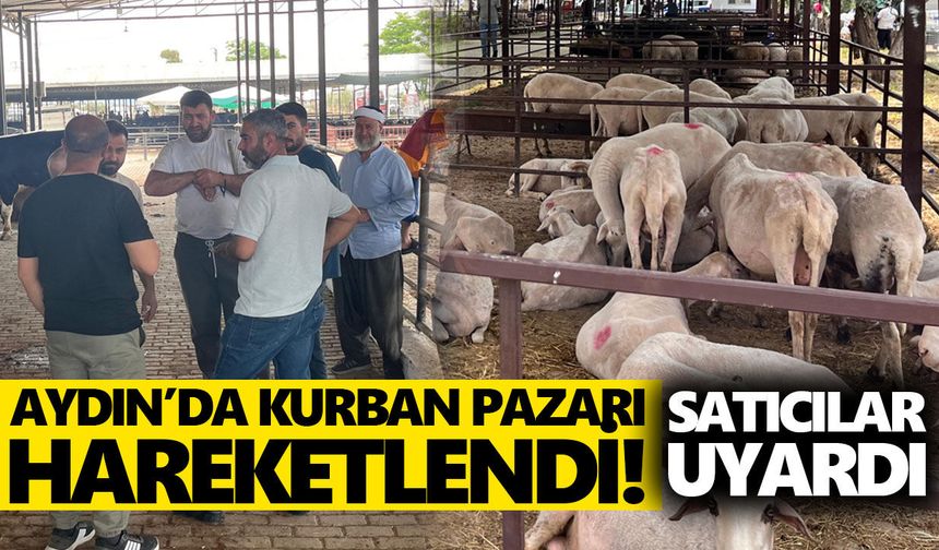 Aydın’da kurban pazarı hareketlendi! Satıcılar uyardı!