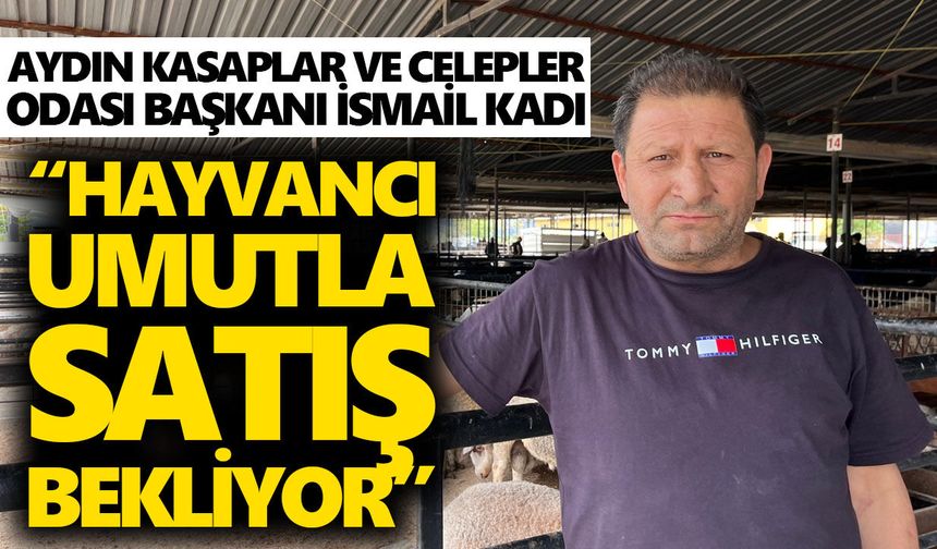 Aydın’da kurbanlıkta maliyetler arttı, et fiyatı yerinde saydı